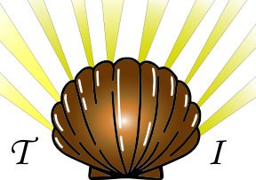 A brown fan‑shaped seashell centered against yellow rays creating a glowing backdrop.